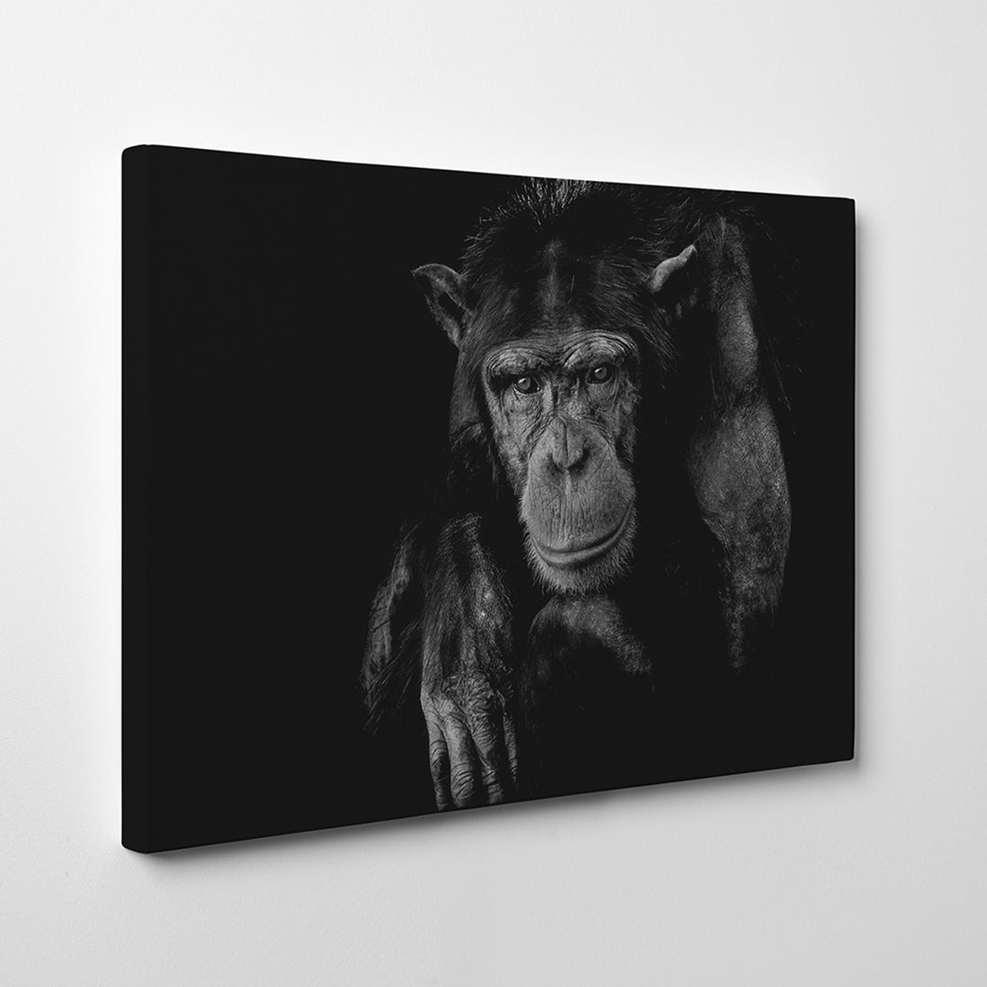 'Youth Don't Last Forever'  Wall Art