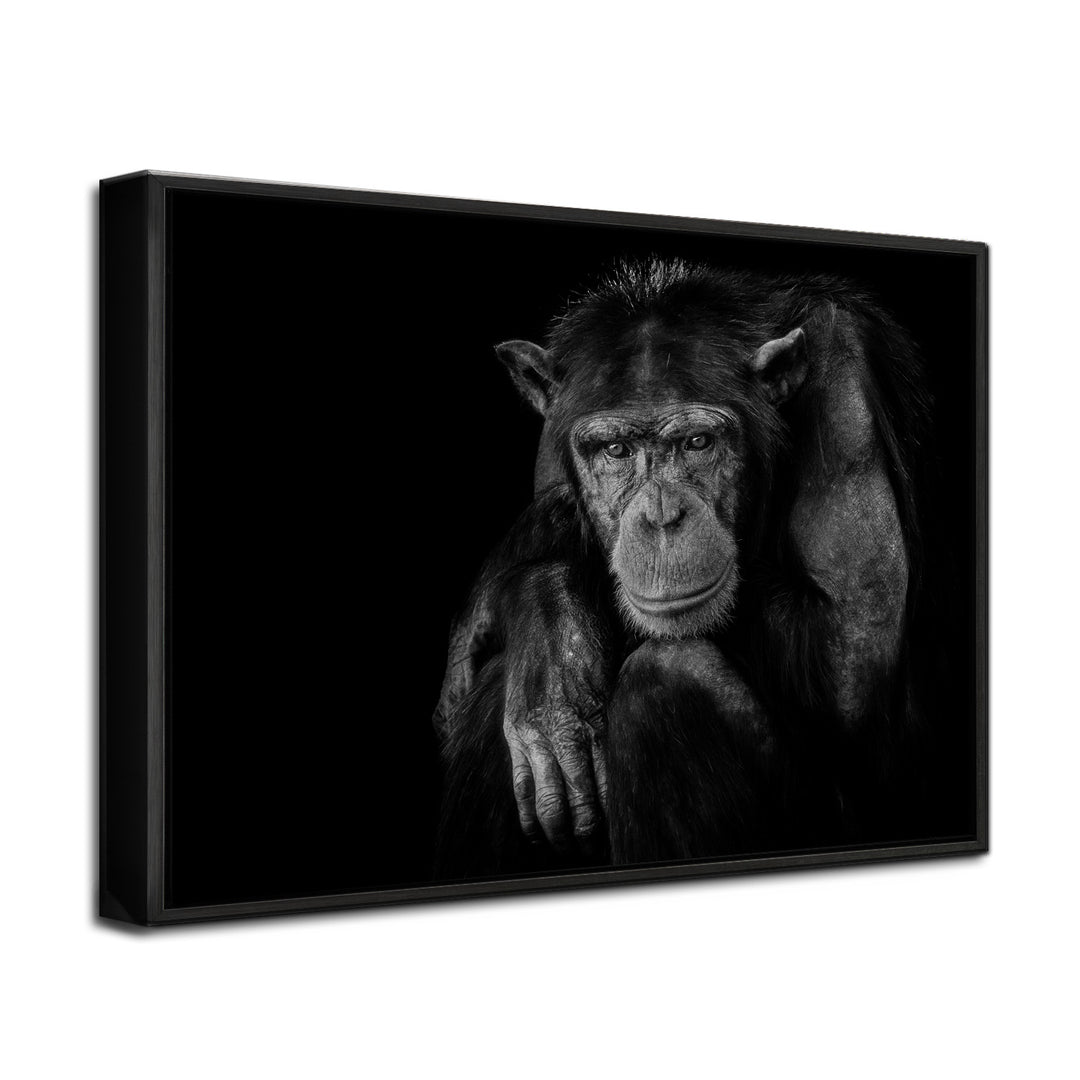 'Youth Don't Last Forever'  Wall Art