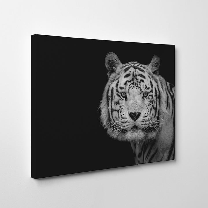 'Bengal White Tiger'  Wall Art