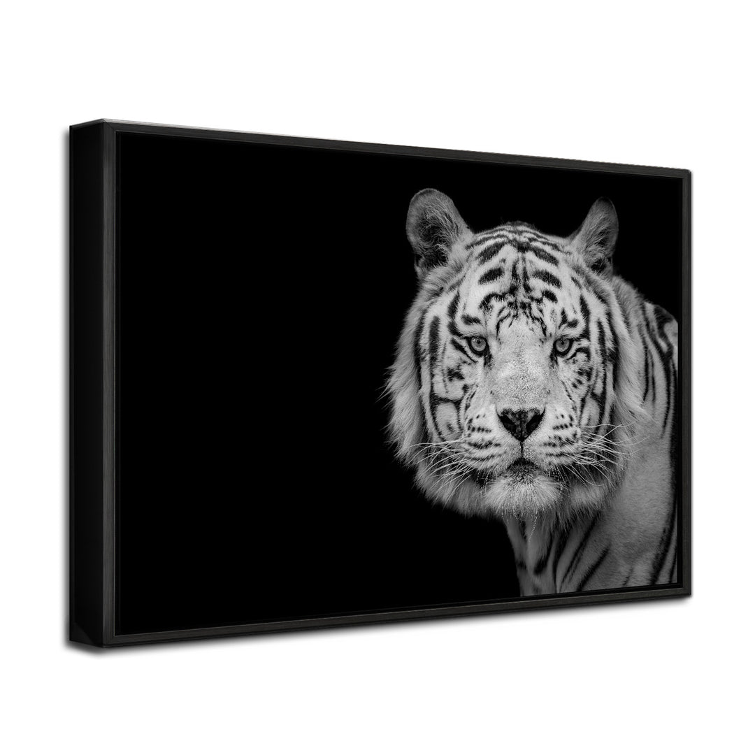 'Bengal White Tiger'  Wall Art