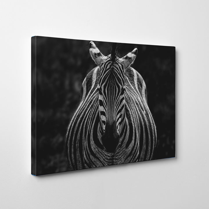 'Stare'  Wall Art
