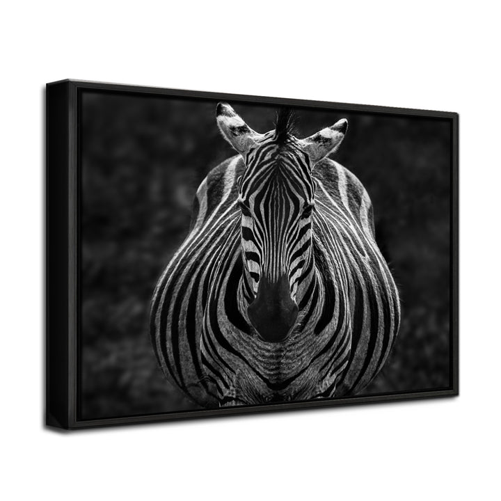 'Stare'  Wall Art