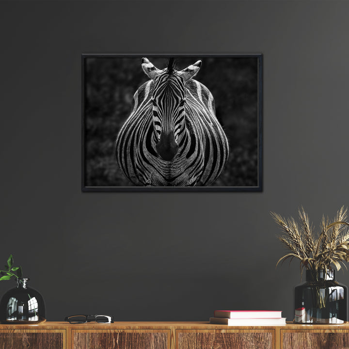 'Stare'  Wall Art