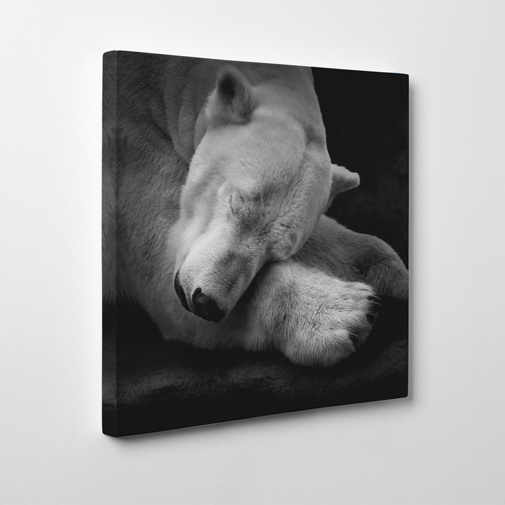'On My Pillow'  Wall Art
