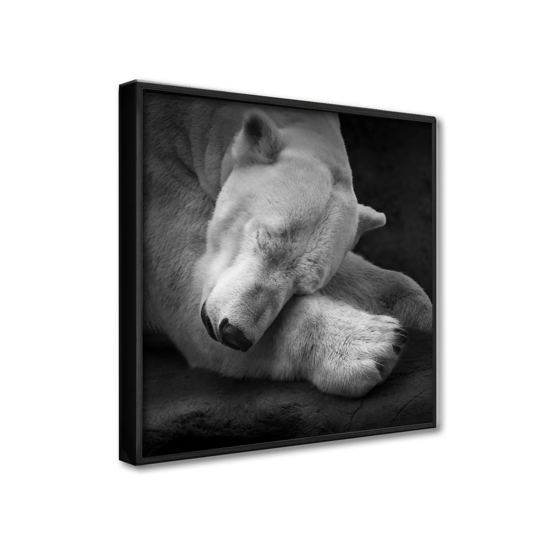'On My Pillow'  Wall Art