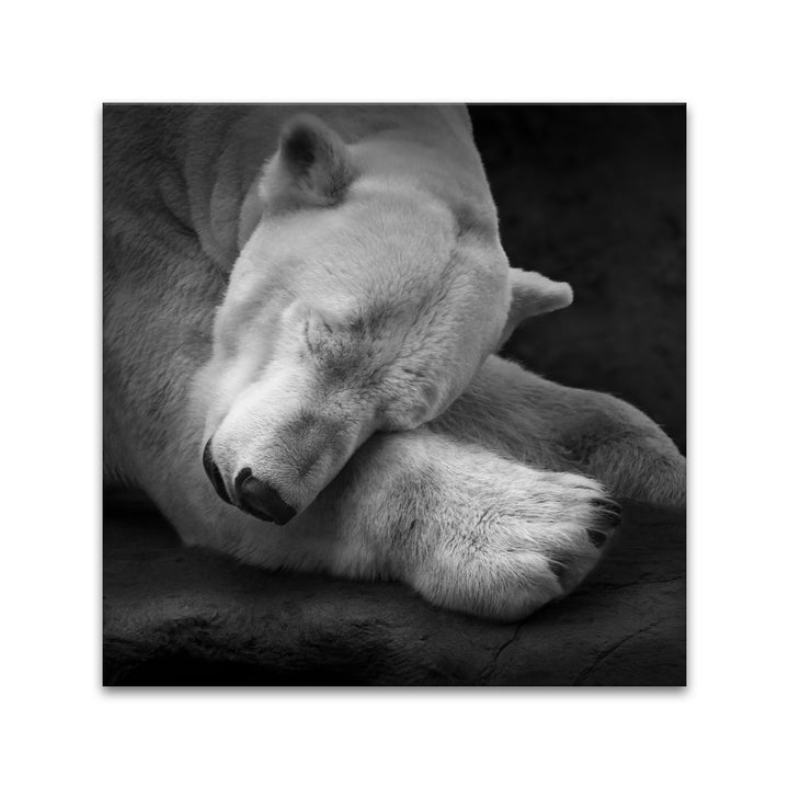 'On My Pillow'  Wall Art