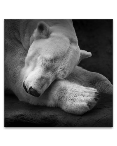 'On My Pillow'  Wall Art