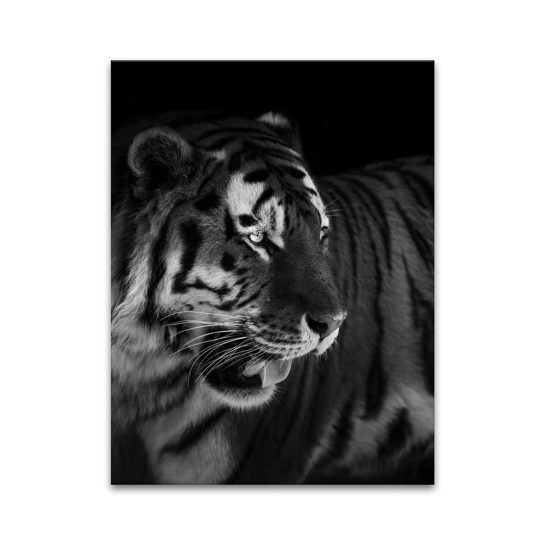'The King'  Wall Art