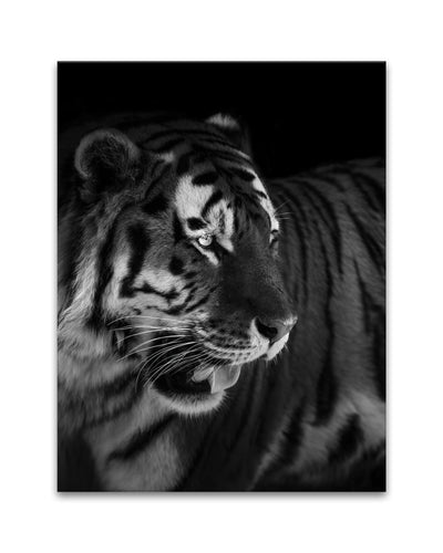 'The King'  Wall Art