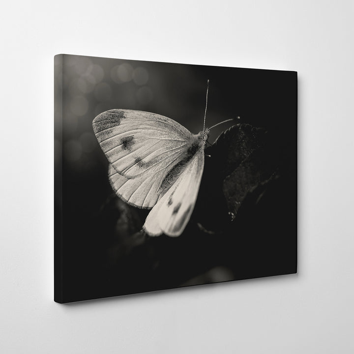'The Escape'  Wall Art