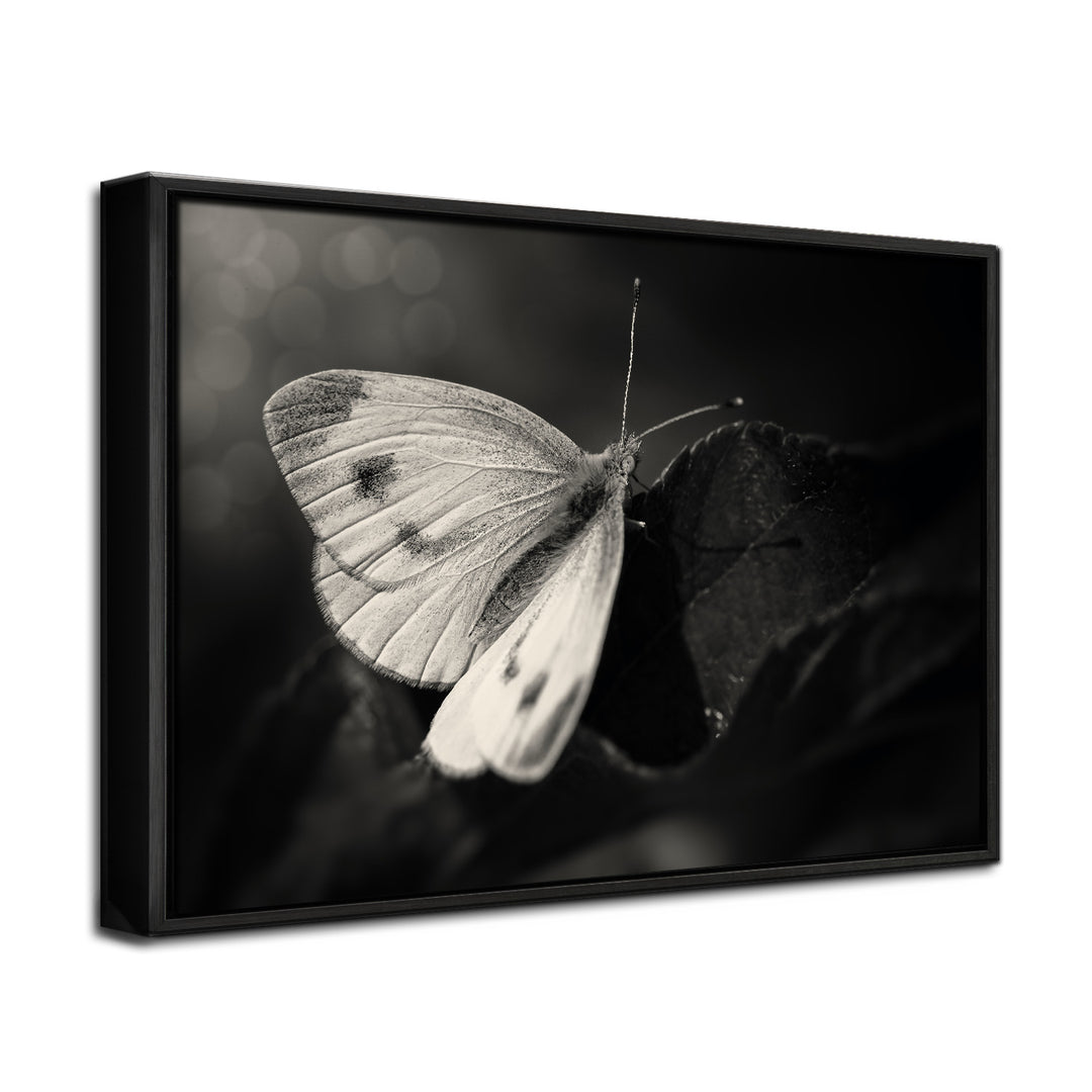 'The Escape'  Wall Art