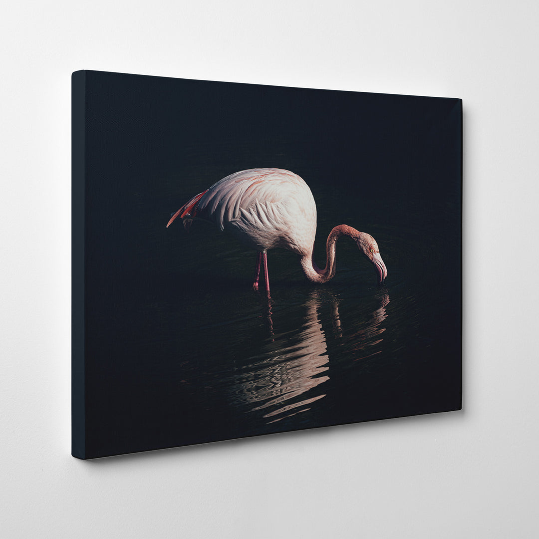 'Enlighted Flamingo'  Wall Art