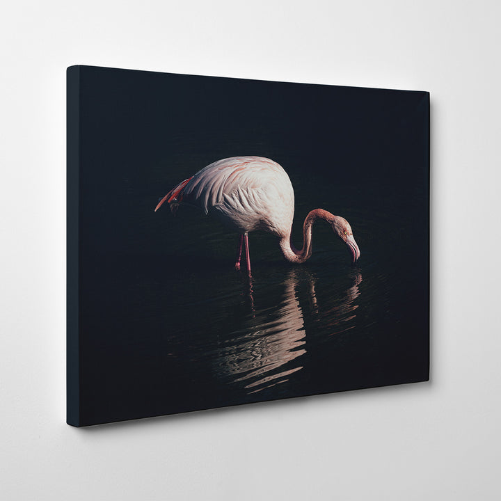 'Enlighted Flamingo'  Wall Art