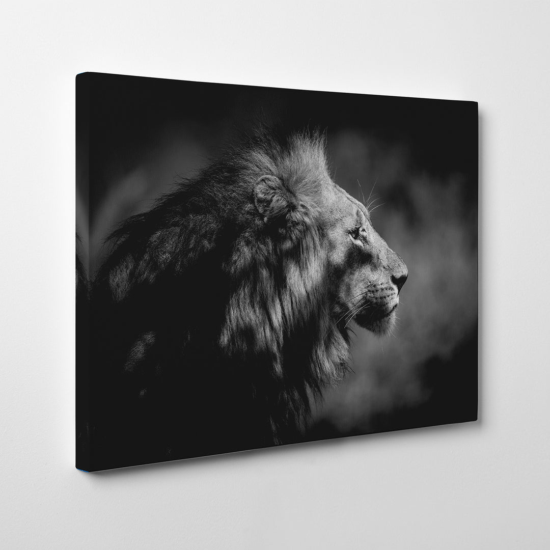 'The Male'  Wall Art