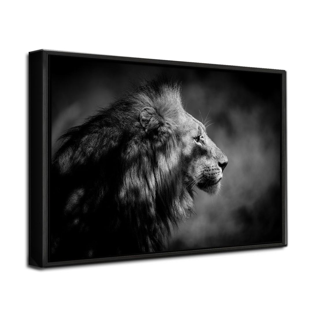 'The Male'  Wall Art