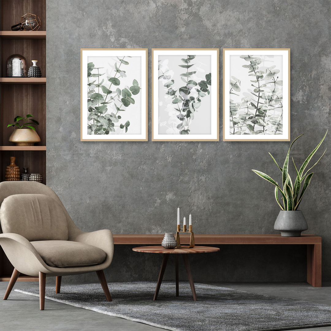 "Eucalyptus" Framed 3-Piece Wall Art Set