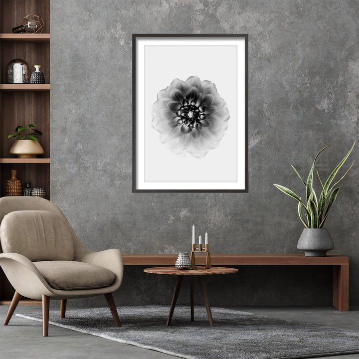"X-Ray" Framed Print Wall Art