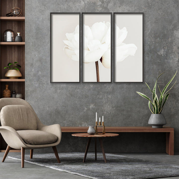 "Peony 11" Framed 3-Piece Wall Art Set