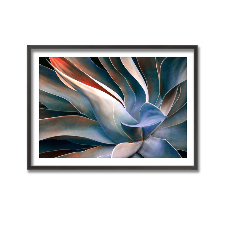 "The Colors in Leaves" Framed Print Wall Art