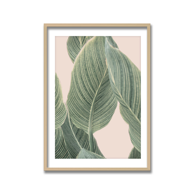 "Calla Leaf" Framed Print Wall Art