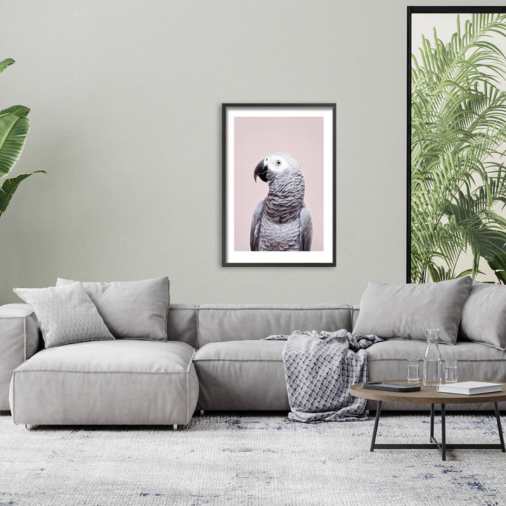 "African Grey" Framed Print Wall Art