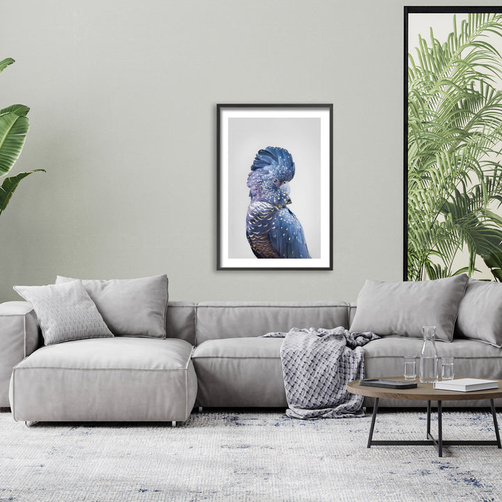 "Black Cockatoo" Framed Print Wall Art