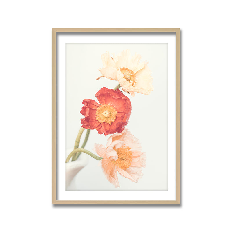 "Poppies" Framed Print Wall Art