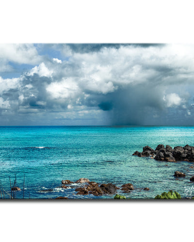 Dark Paradise' Wrapped Canvas Wall Art