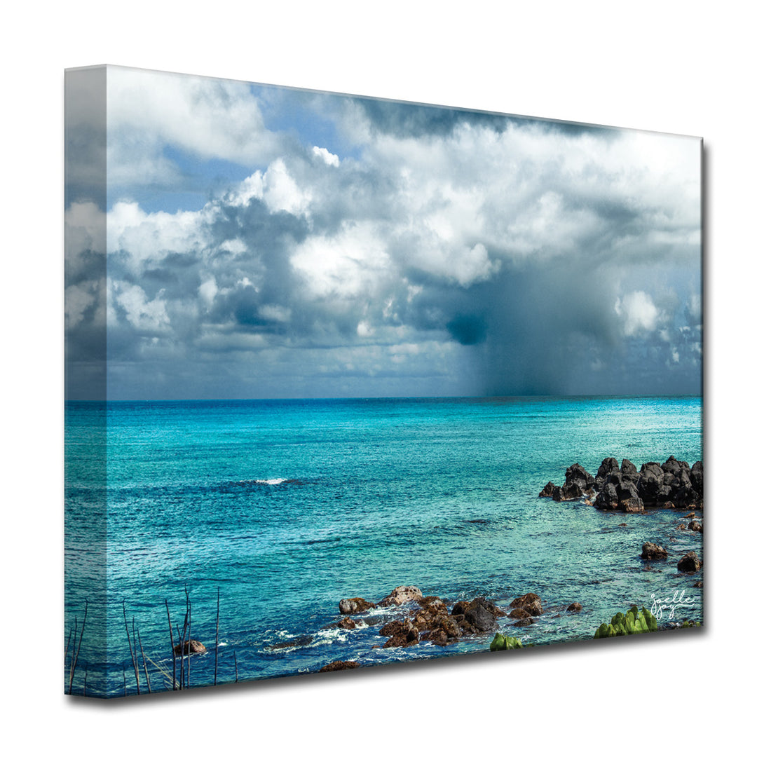 Dark Paradise' Wrapped Canvas Wall Art