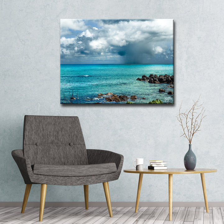 Dark Paradise' Wrapped Canvas Wall Art
