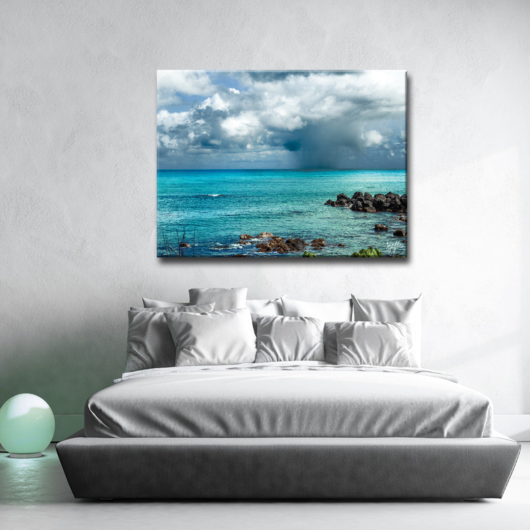 Dark Paradise' Wrapped Canvas Wall Art