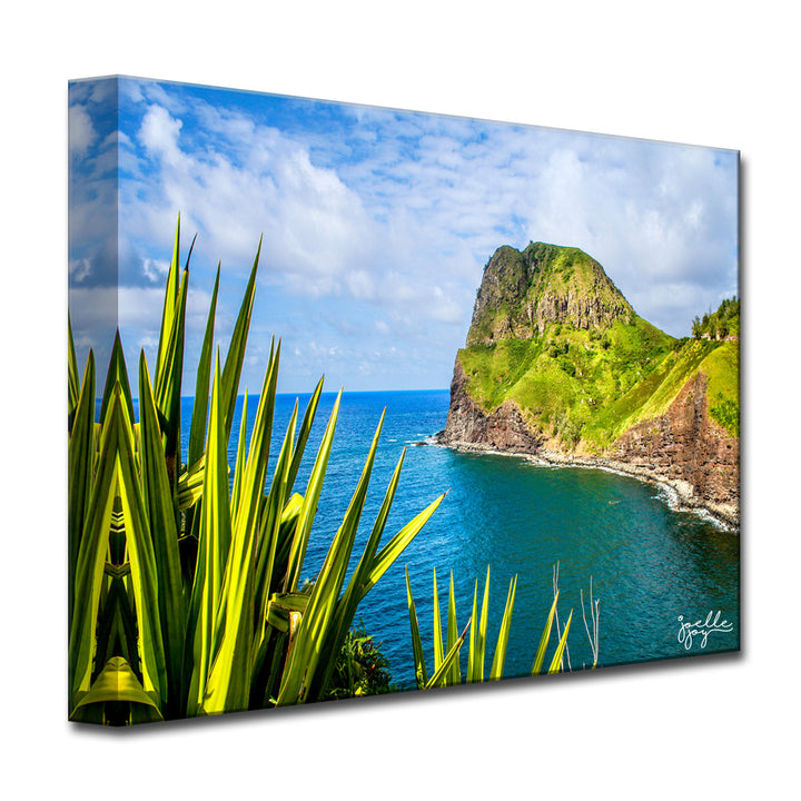 Point Me At The Sky' Wrapped Canvas Wall Art