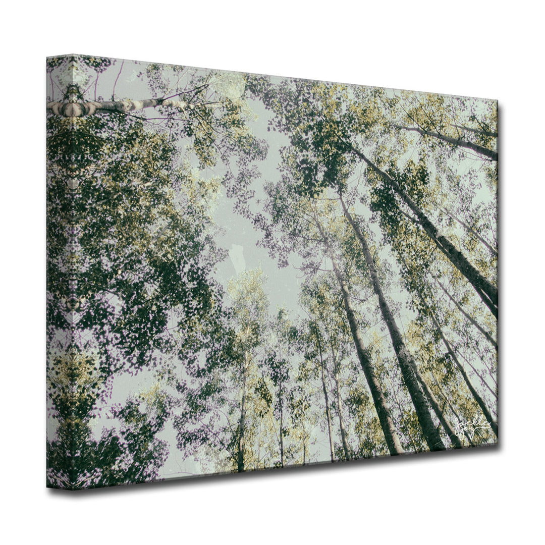 Shaking Your Tree' Wrapped Canvas Wall Art