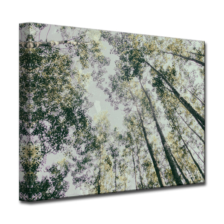 Shaking Your Tree' Wrapped Canvas Wall Art