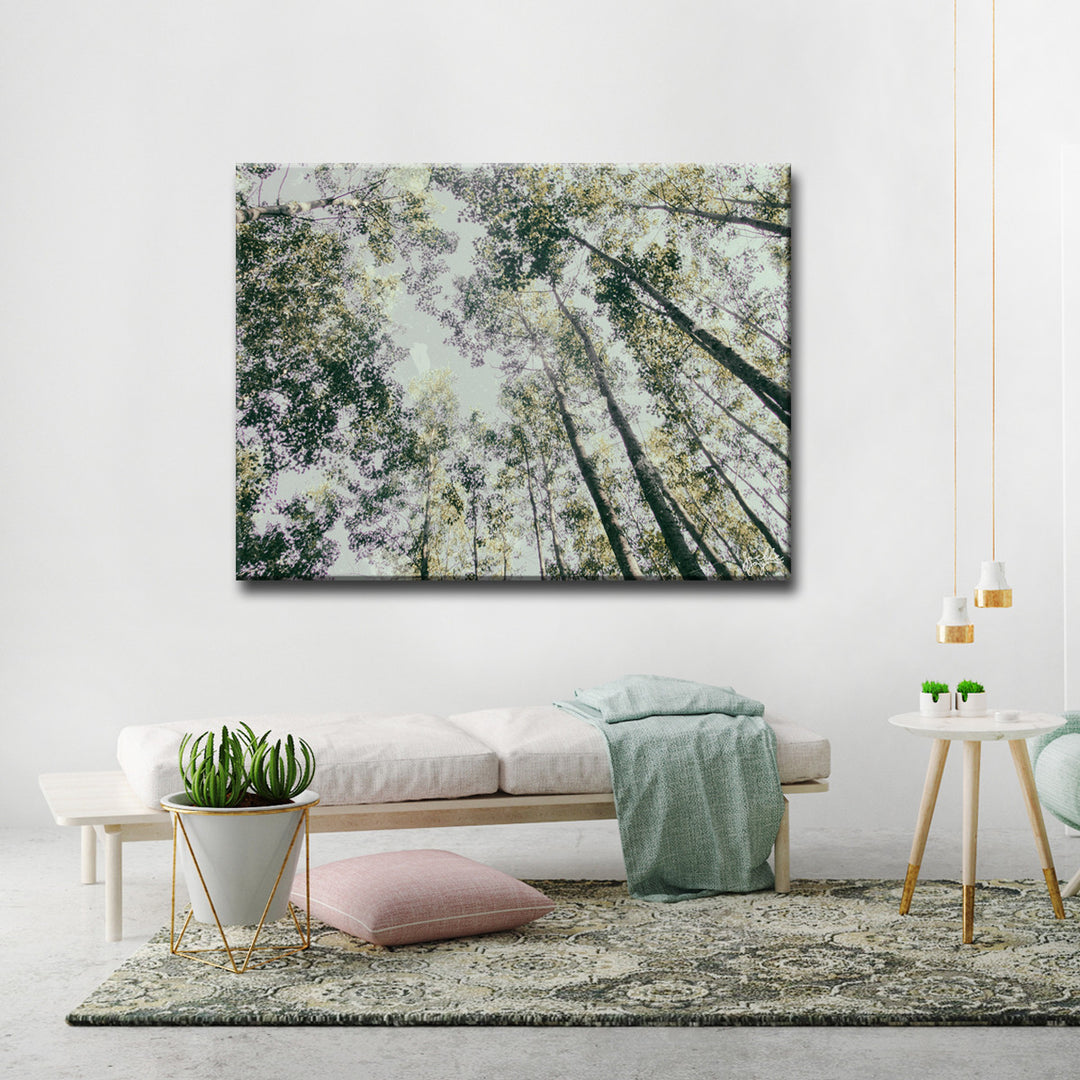 Shaking Your Tree' Wrapped Canvas Wall Art
