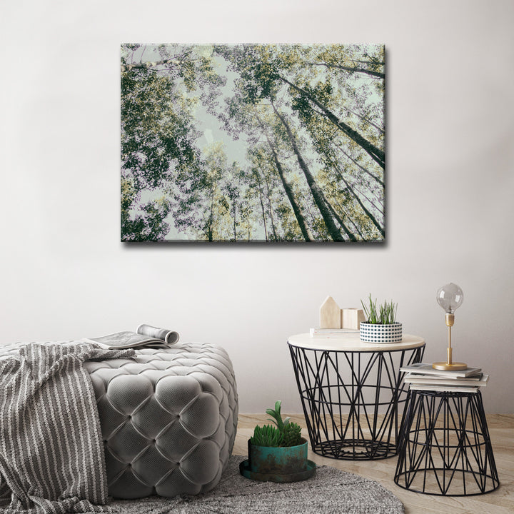 Shaking Your Tree' Wrapped Canvas Wall Art