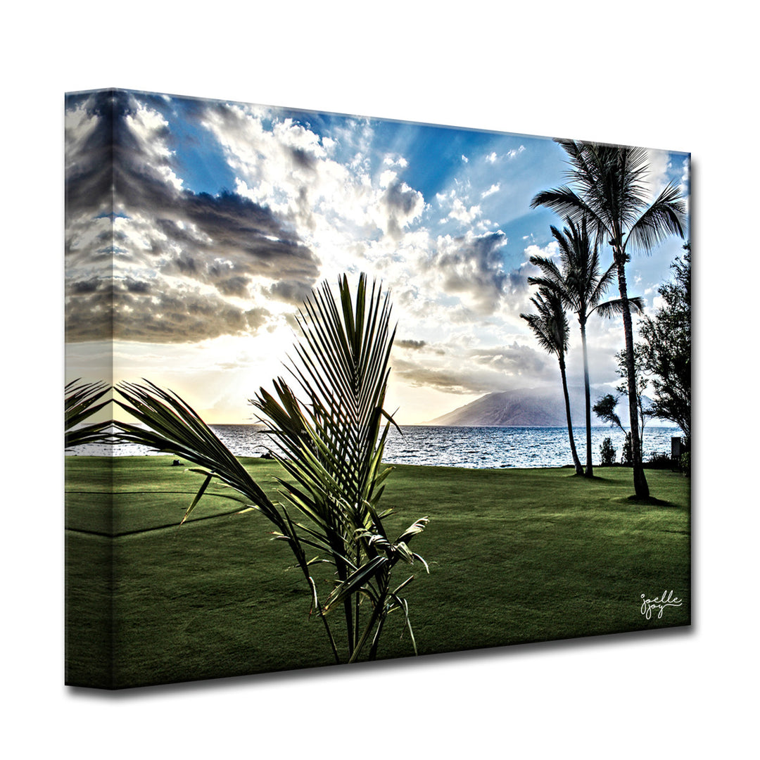 Waui Maui' Wrapped Canvas Wall Art
