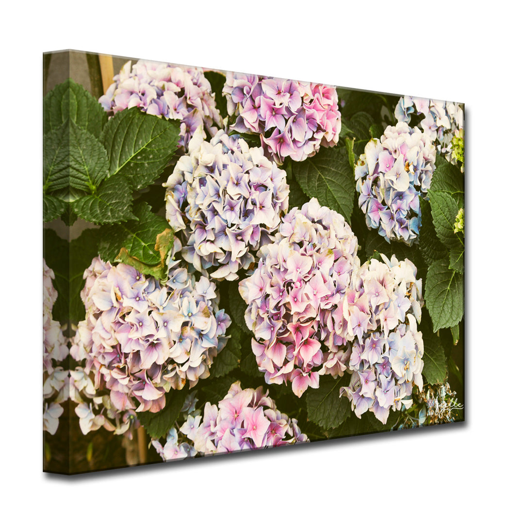 Where I Stood' Wrapped Canvas Wall Art