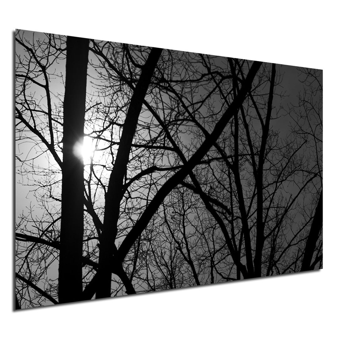 Ready2HangArt Indoor/Outdoor Wall Décor 'Day & Night' in ArtPlexi by NXN Designs