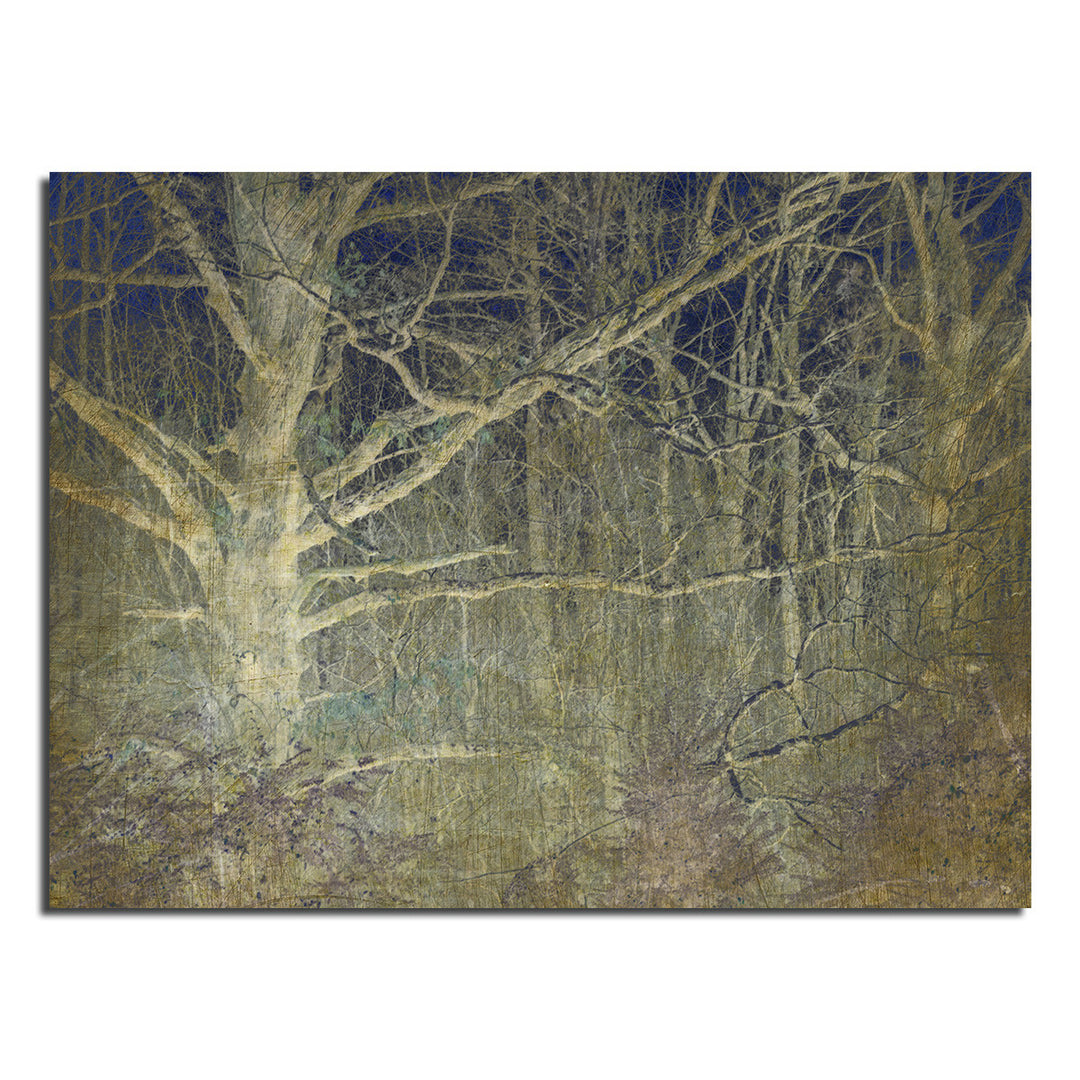 Ready2HangArt Indoor/Outdoor Wall Décor 'Antiquated Grain' in ArtPlexi by NXN Designs