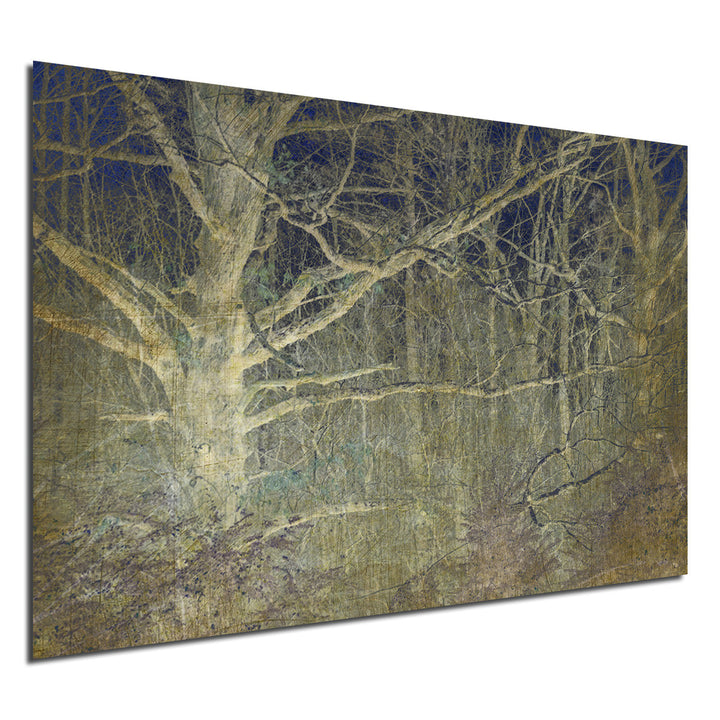 Ready2HangArt Indoor/Outdoor Wall Décor 'Antiquated Grain' in ArtPlexi by NXN Designs
