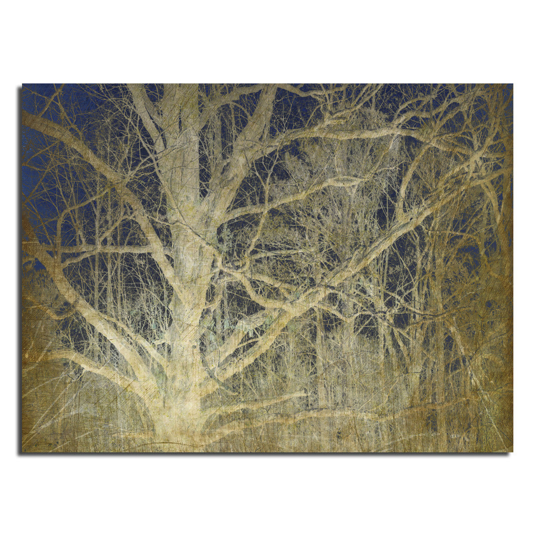 Ready2HangArt Indoor/Outdoor Wall Décor 'Antiquated Grain II' in ArtPlexi by NXN Designs