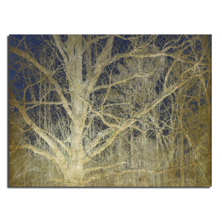 Ready2HangArt Indoor/Outdoor Wall Décor 'Antiquated Grain II' in ArtPlexi by NXN Designs