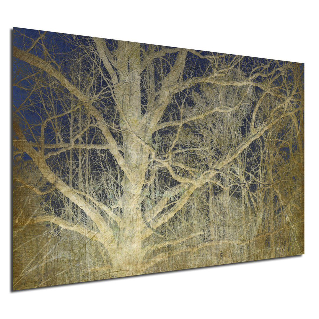 Ready2HangArt Indoor/Outdoor Wall Décor 'Antiquated Grain II' in ArtPlexi by NXN Designs
