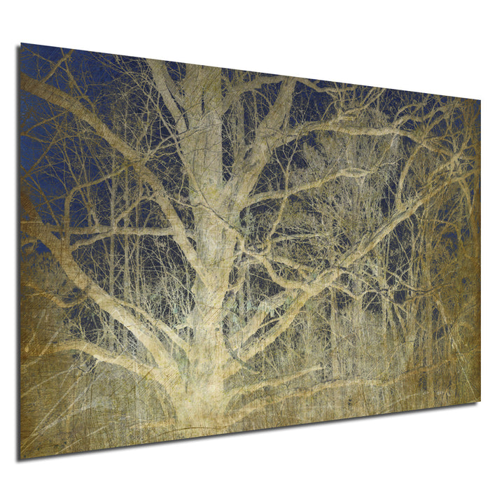 Ready2HangArt Indoor/Outdoor Wall Décor 'Antiquated Grain II' in ArtPlexi by NXN Designs