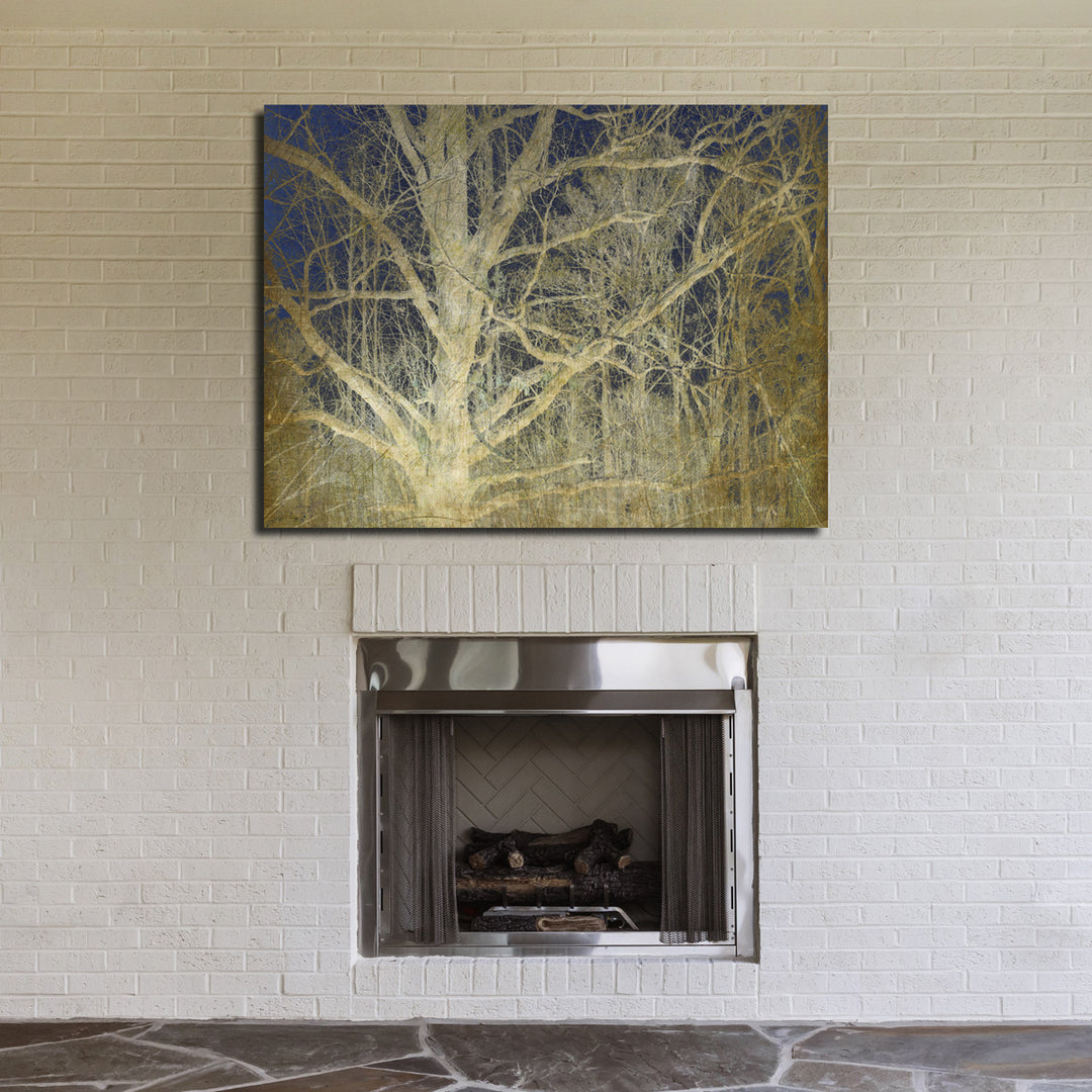 Ready2HangArt Indoor/Outdoor Wall Décor 'Antiquated Grain II' in ArtPlexi by NXN Designs