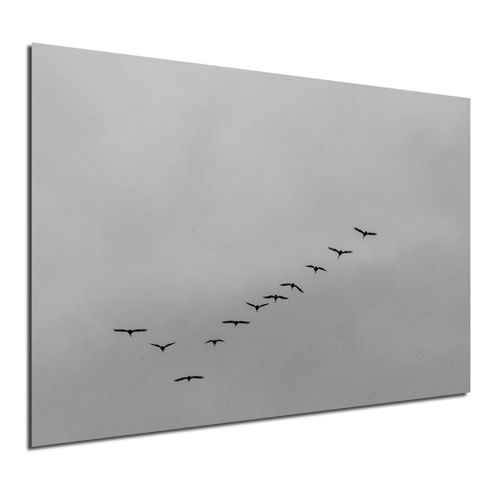 Ready2HangArt Indoor/Outdoor Wall Décor 'Formation' in ArtPlexi by NXN Designs