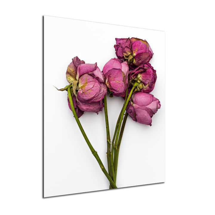 Ready2HangArt Indoor/Outdoor Wall Décor 'Thinking of You' in ArtPlexi by NXN Designs
