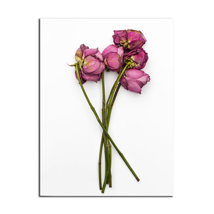 Ready2HangArt Indoor/Outdoor Wall Décor 'Thinking of You II' in ArtPlexi by NXN Designs
