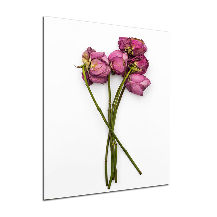 Ready2HangArt Indoor/Outdoor Wall Décor 'Thinking of You II' in ArtPlexi by NXN Designs